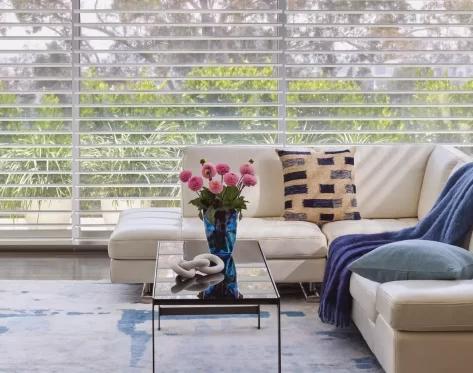The Role of Window Shades in Energy Efficiency at Home
