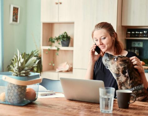 Top Cabinet Material Choices for Pet-Friendly Kitchens